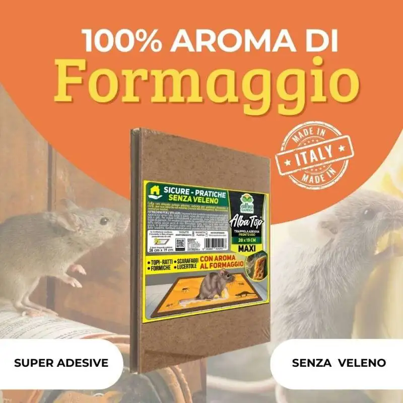 Maxi Trappola Adesiva Ratti Pezzi 2 - immagine 3