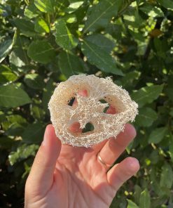 Porta solido Naturale in Luffa – Officina Naturae