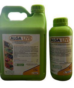ALGA LIVE- FERTENIA