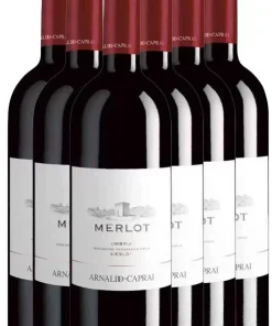6 BOTTIGLIE CAPRAI MERLOT IGT UMBRIA
