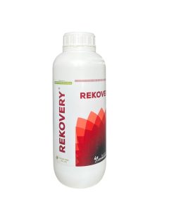 REKOVERY LT.1- 43G